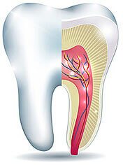 Teeth Icon